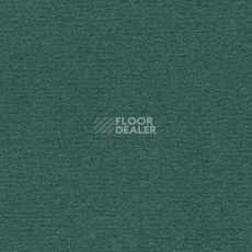Ковролин Radici Nexus Turchese 8275 фото 1 | FLOORDEALER